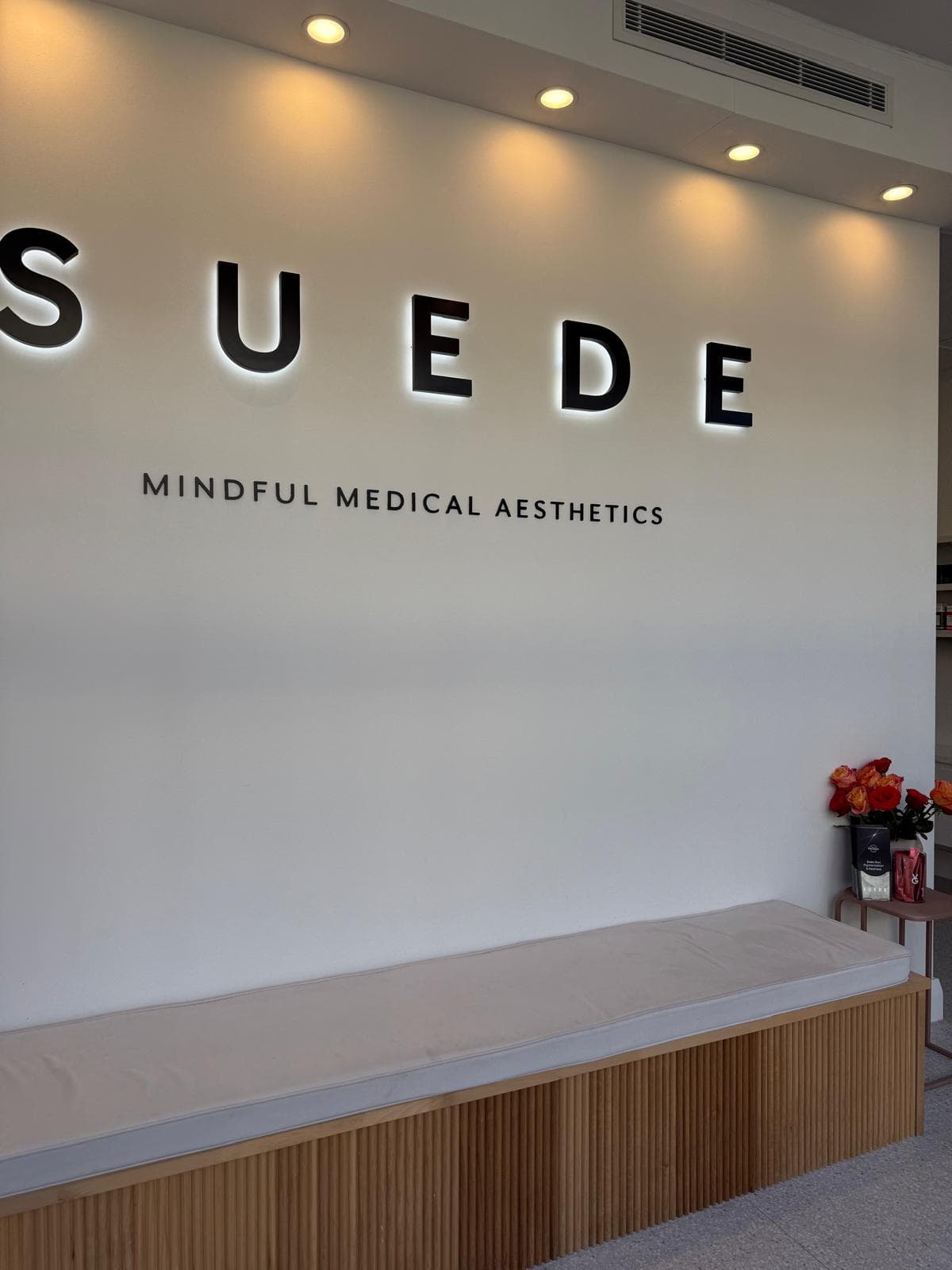 Suede Clinic Balmain — Balmain, Sydney