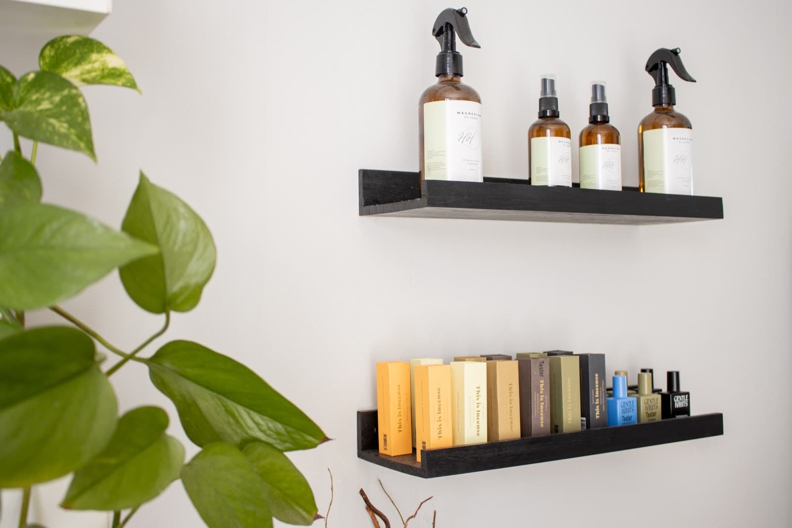 Tessted Therapy — Alexandria, Sydney