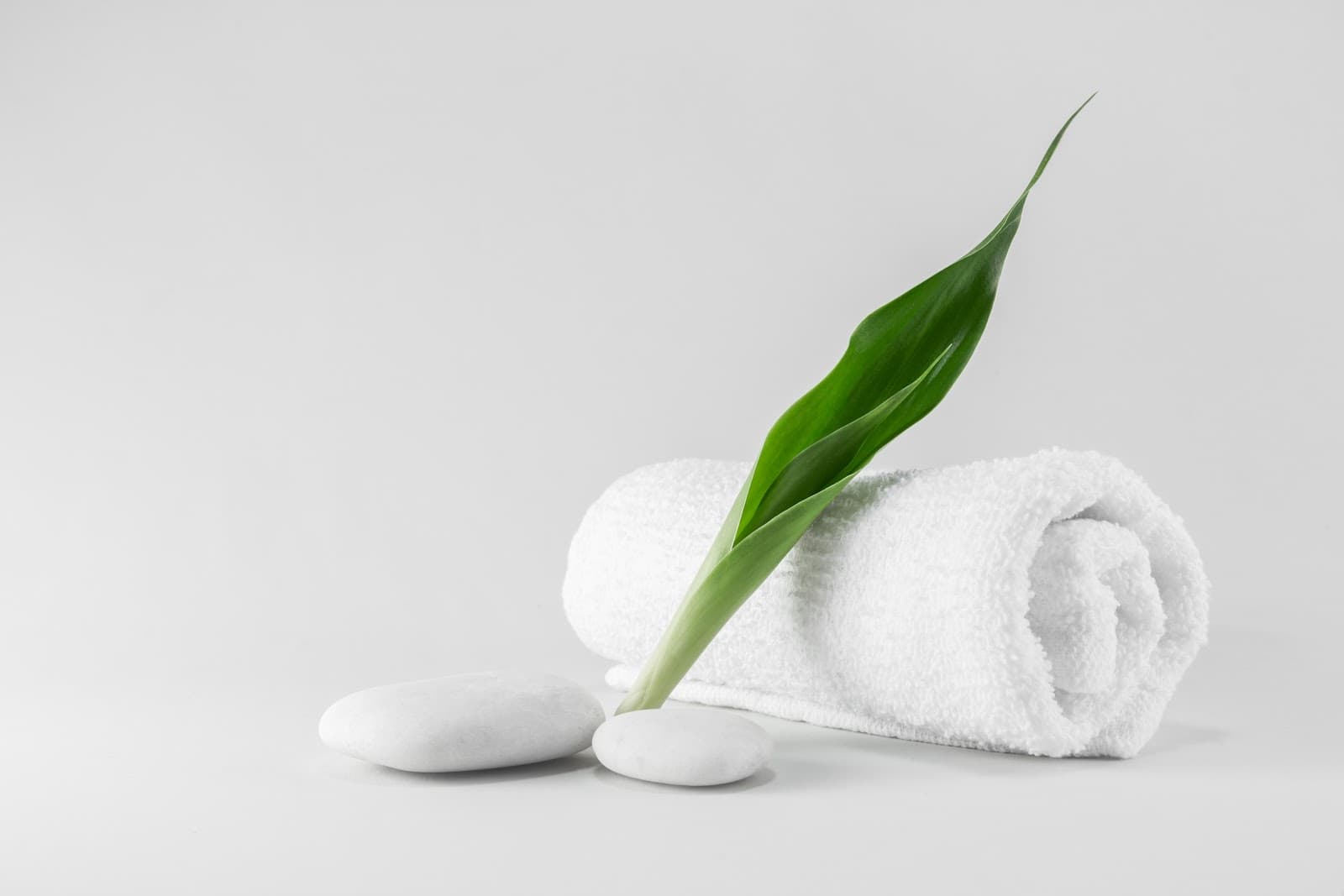 Orchard Day Spa & Massage — Alexandria, Sydney