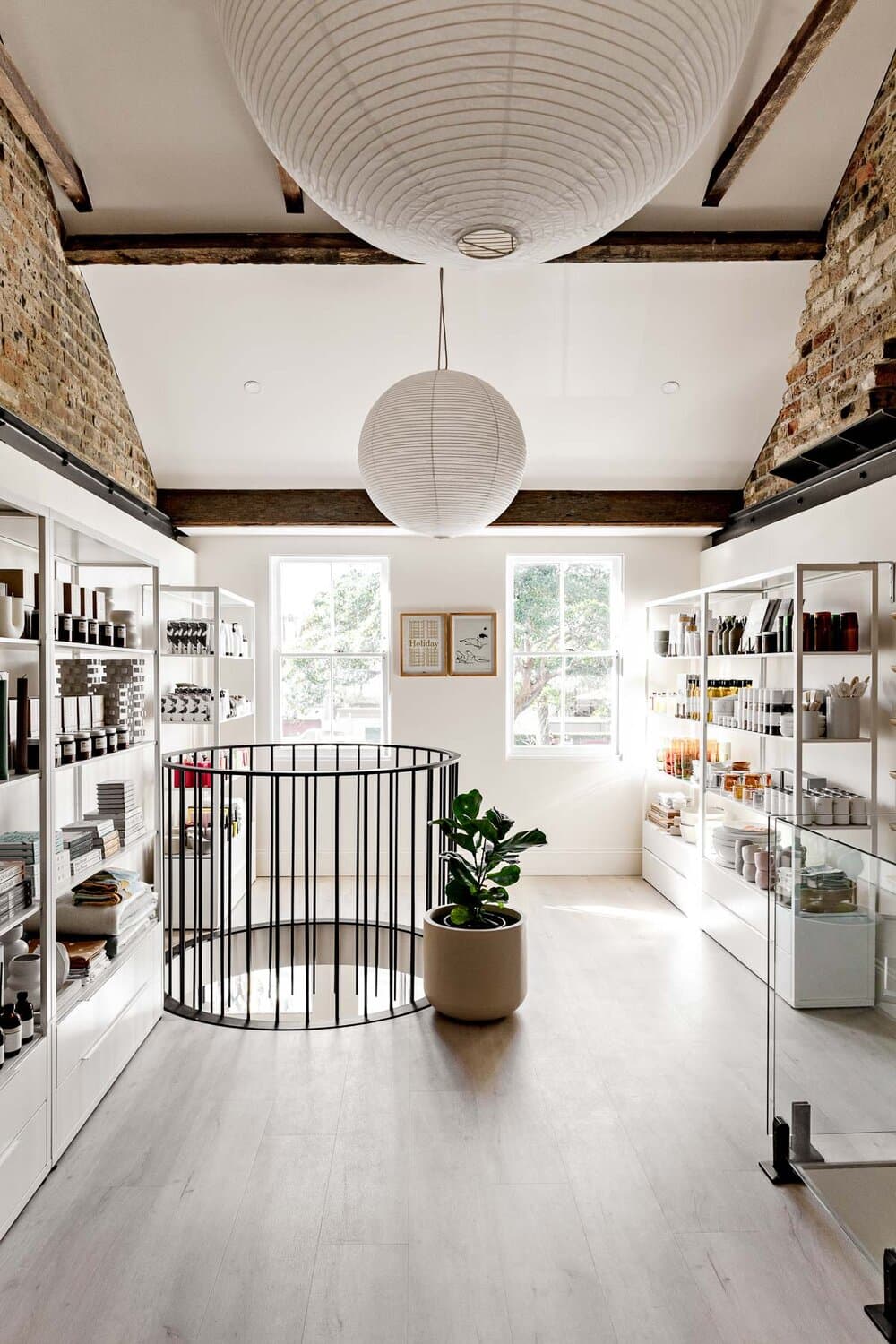 Elms — Surry Hills, Sydney