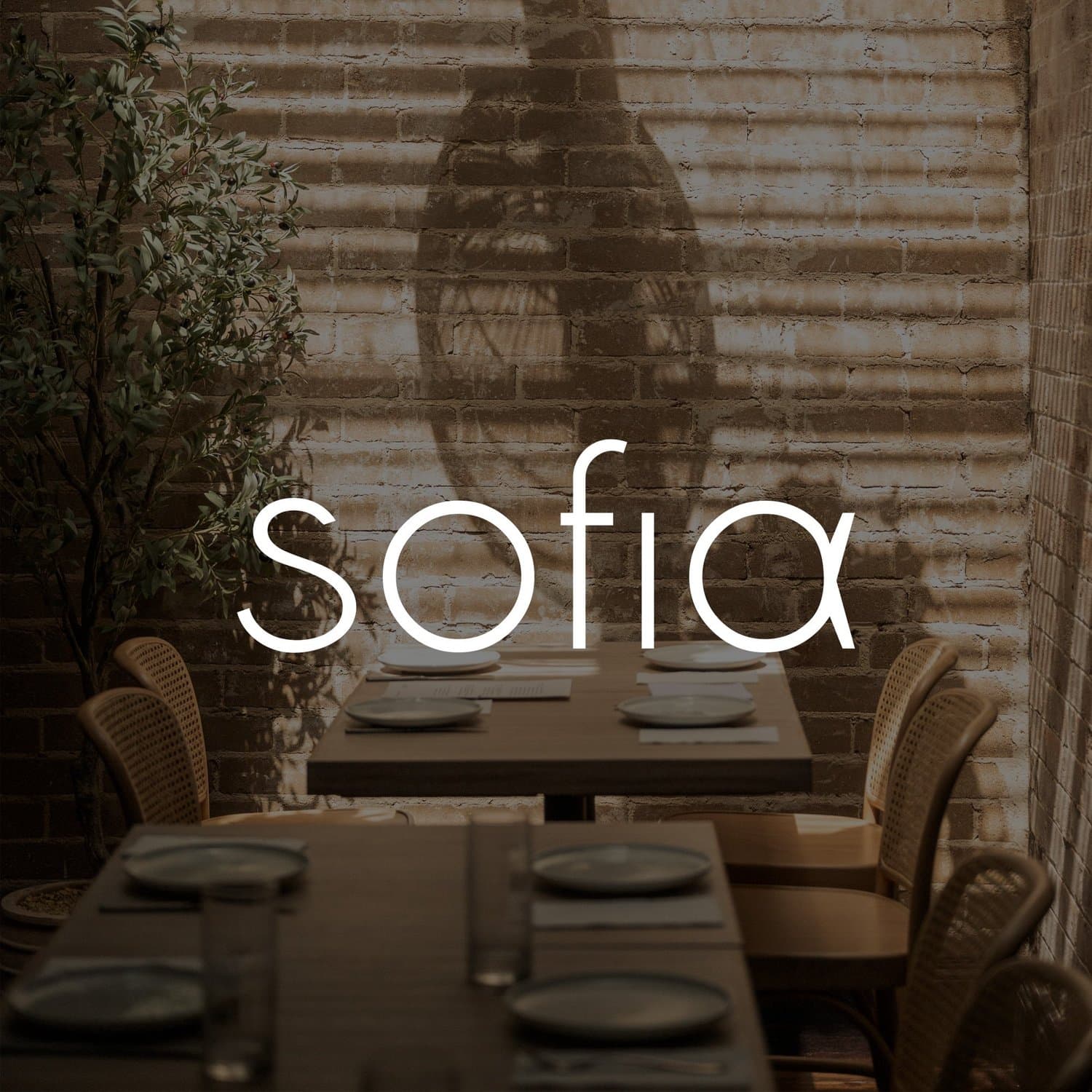 Sofia on Cleveland