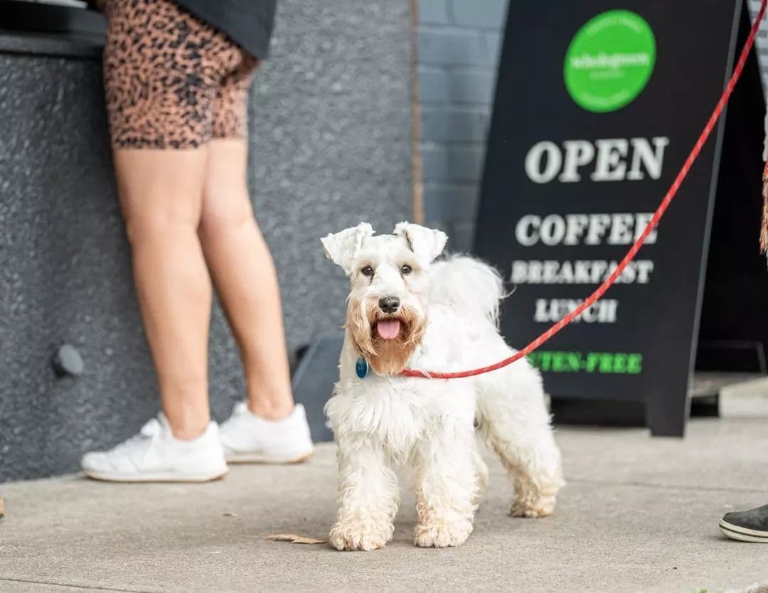 Wholegreen Bakery & Cafe Sydney City