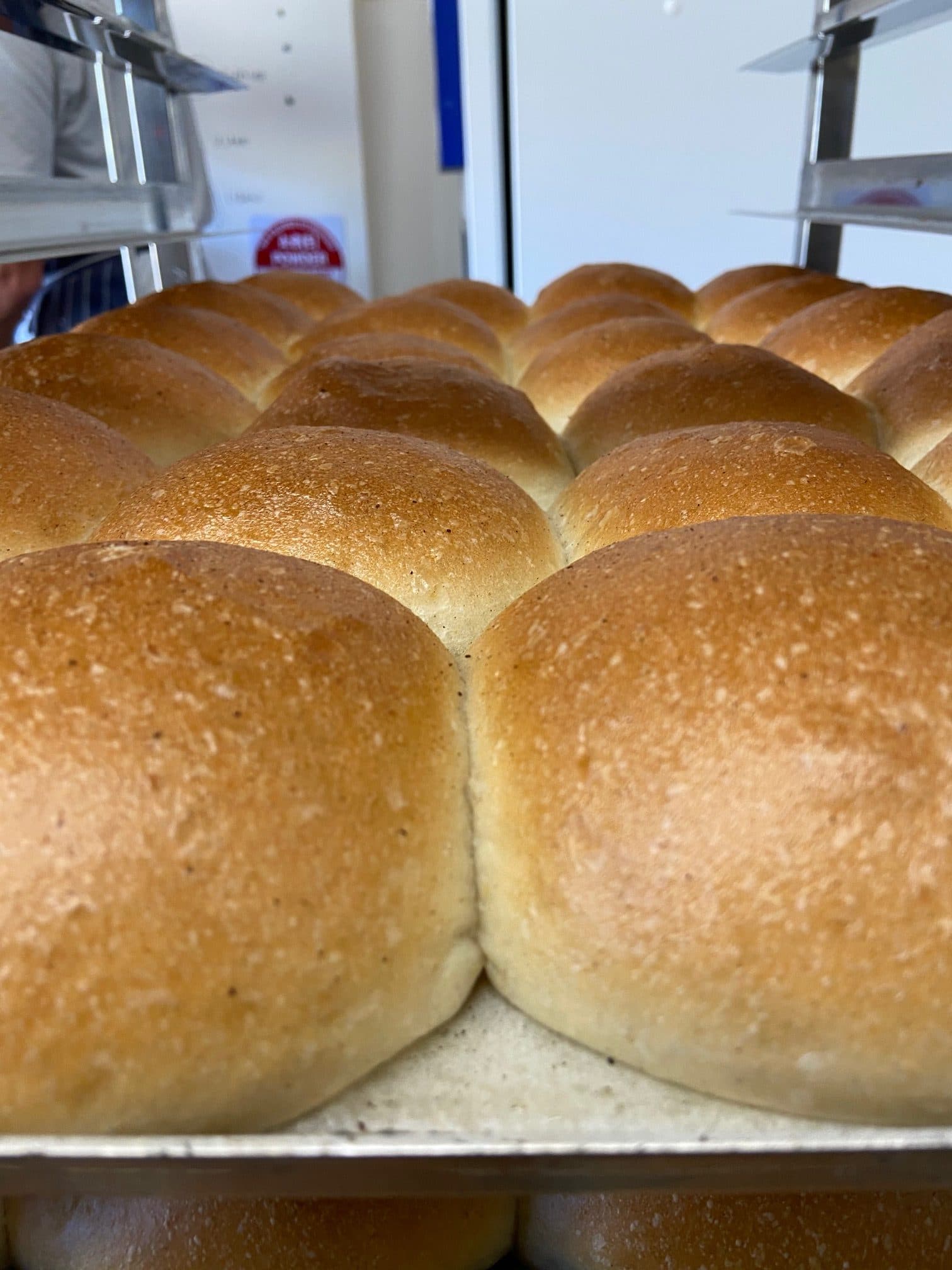 Staple Bakery Seaforth