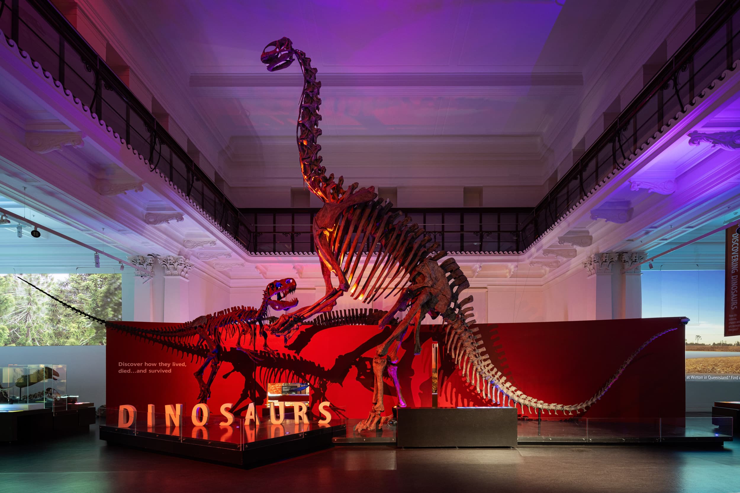 Australian Museum