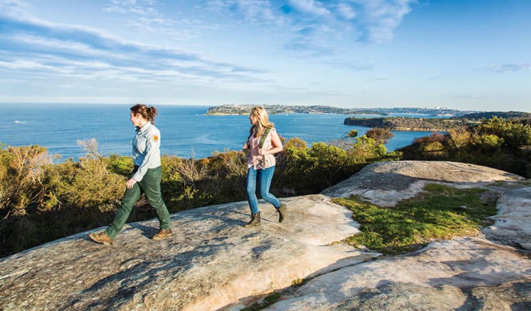 Manly To Spit Bridge Coastal Walk