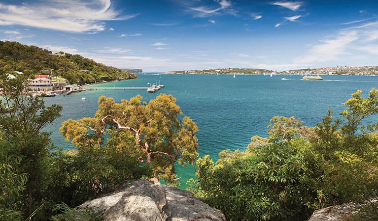 Manly To Spit Bridge Coastal Walk