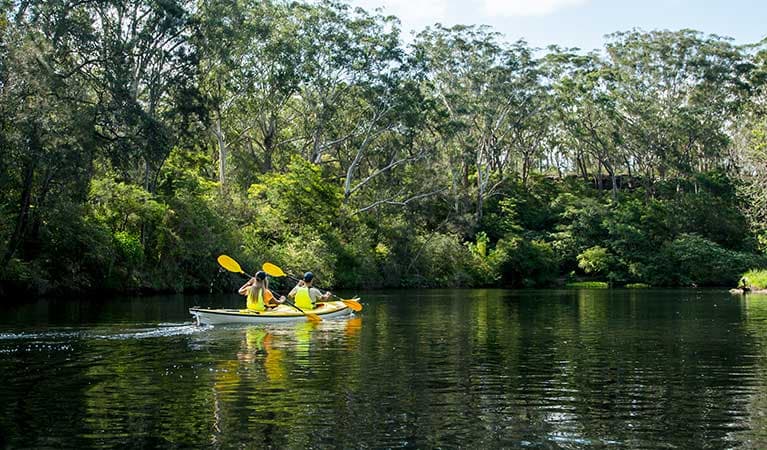 Best Parks in Chatswood, Sydney