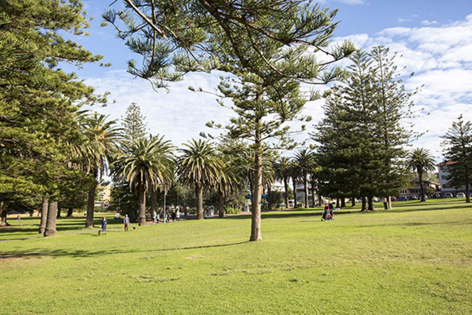 Shelly Park