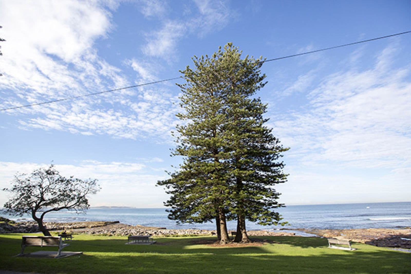 Shelly Park