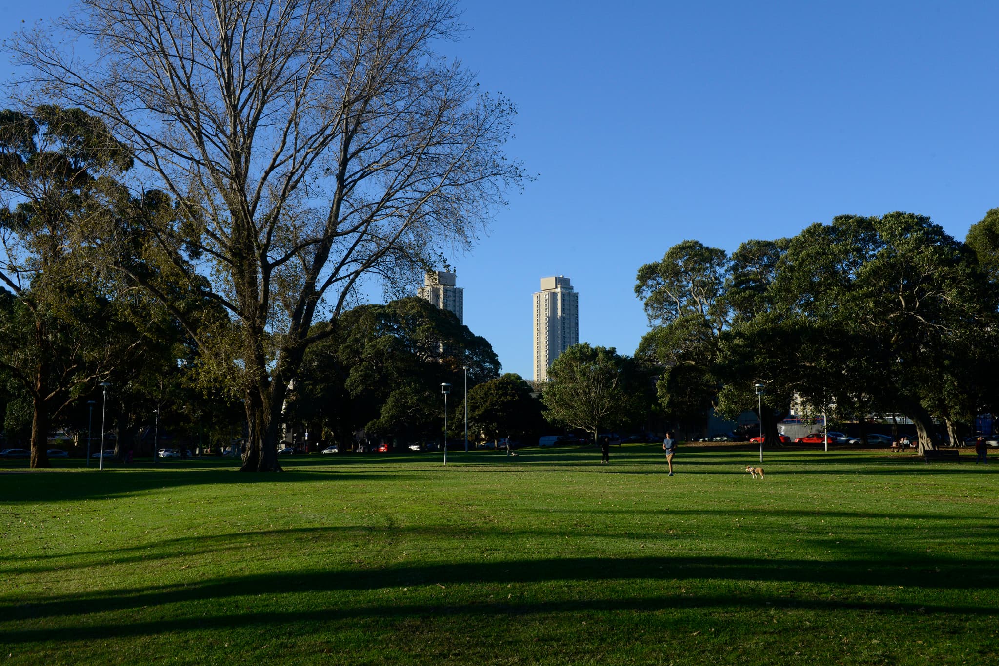 Alexandria Park