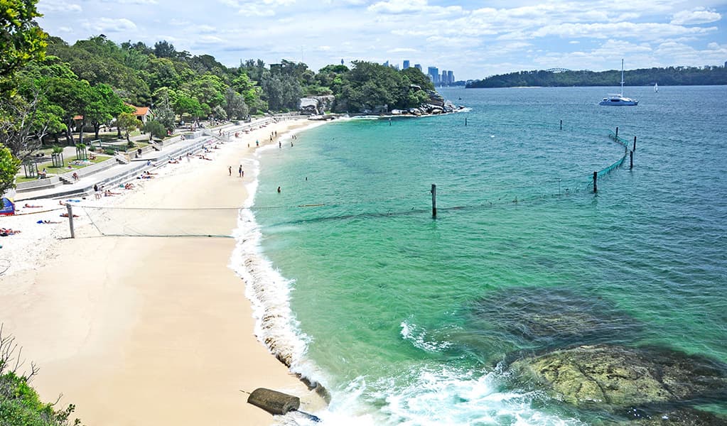 Shark Beach
