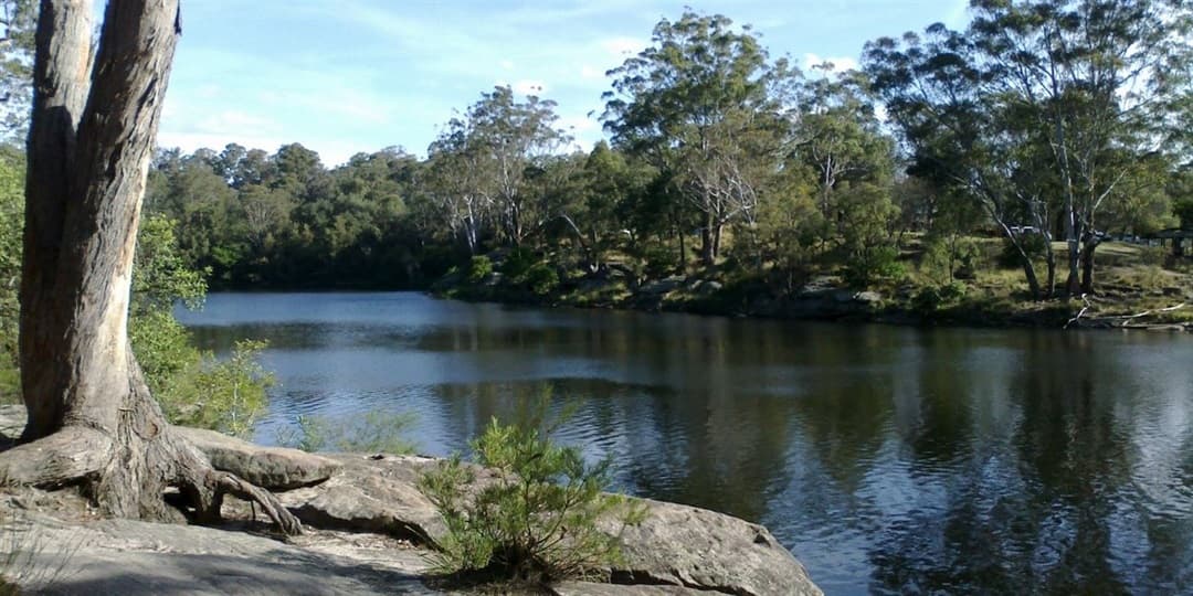 Parramatta Lake Walk