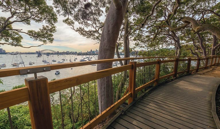 Bradleys Head to Chowder Bay walk