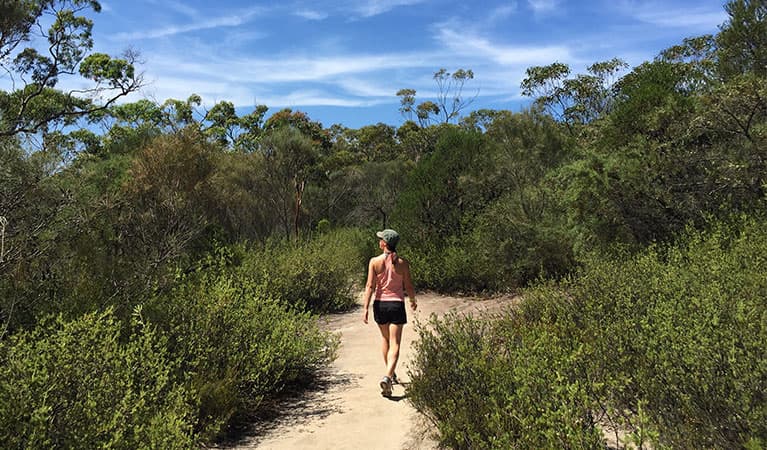 Karloo walking track