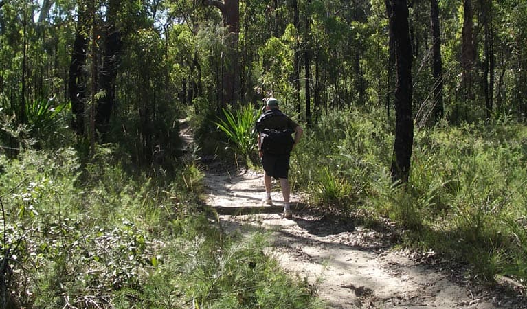 Karloo walking track