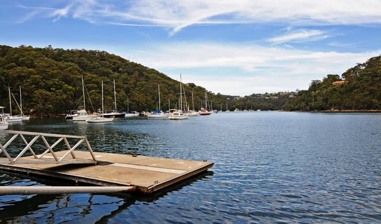 The Bluff Lookout