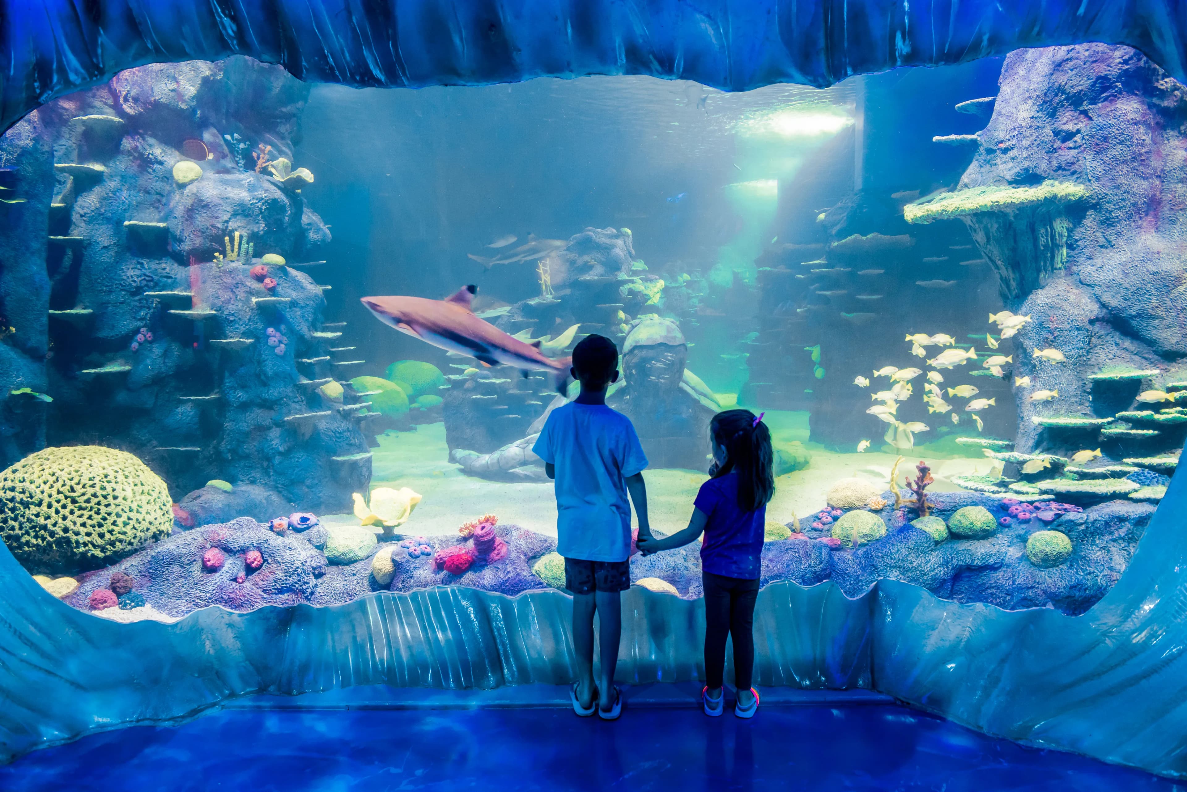SEA LIFE Sydney Aquarium