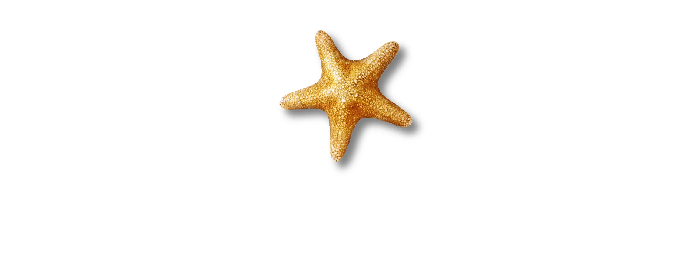 SEA LIFE Sydney Aquarium