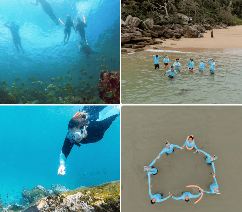 Snorkelling Shelly Beach