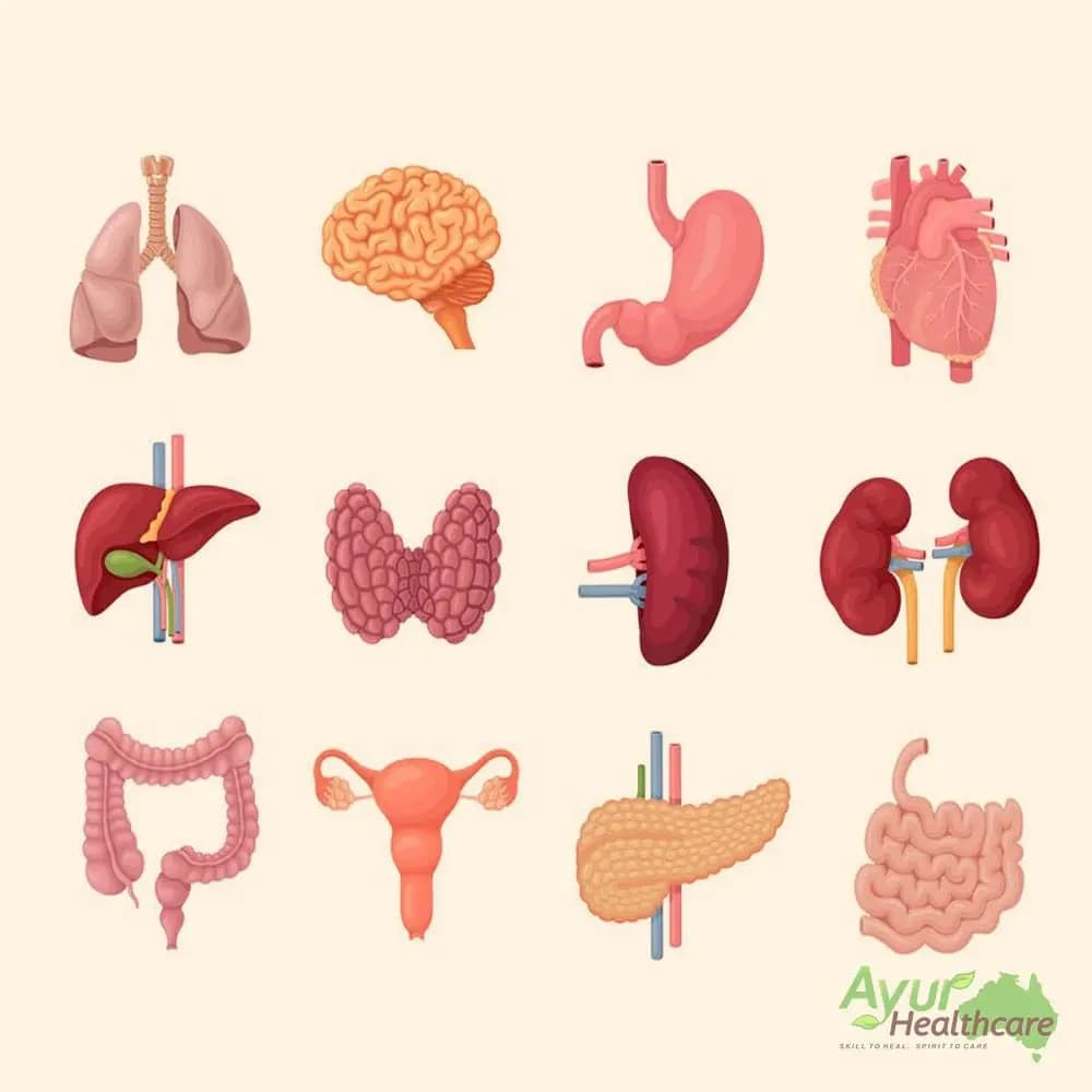 🥇Ayur Healthcare Ayurveda (Panchakarma Centre) - Parramatta, Sydney